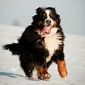 DSC04978_1