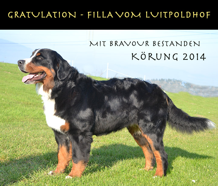 Filla vom Luitpoldhof