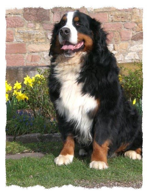 Baron