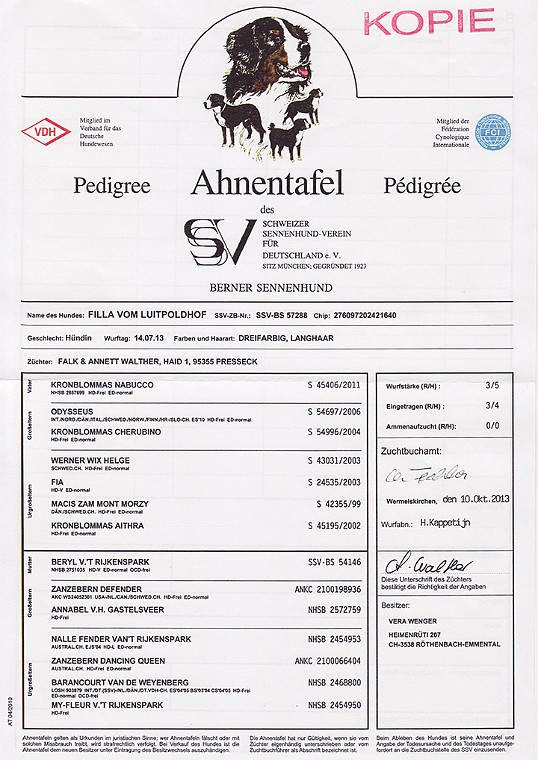 Filla-vom-Luitpoldhof_Stammbaum