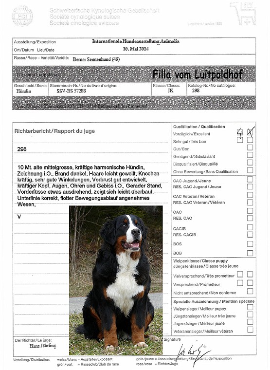 IHA_St.Gallen_2014_Filla