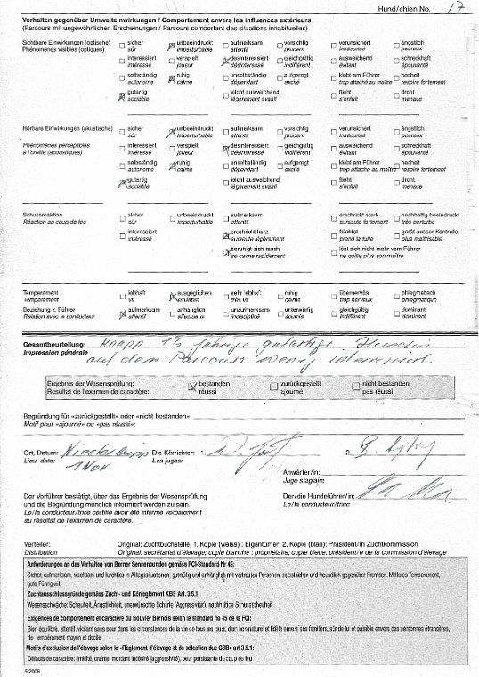 Körbericht Seite 2