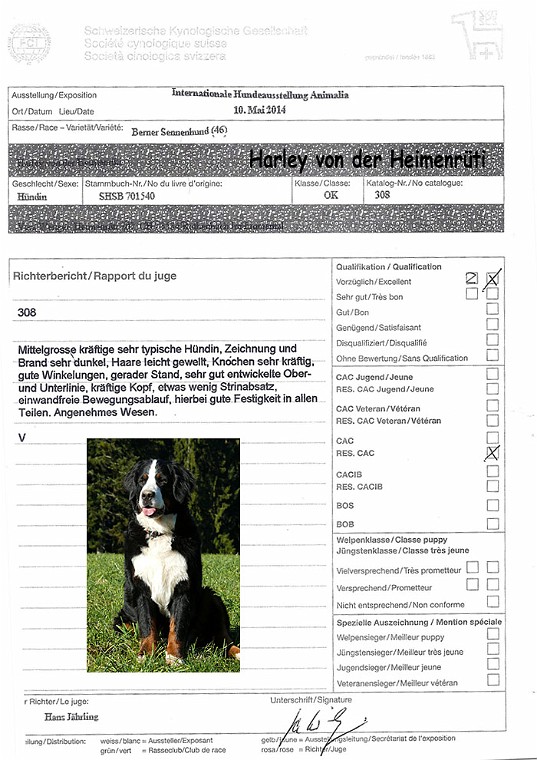 IHA-St.Gallen_2014_Harley